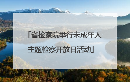 省检察院举行未成年人主题检察开放日活动